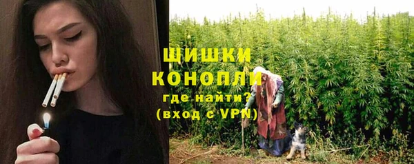 крисы Вязьма
