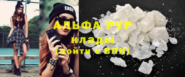 крисы Вязьма