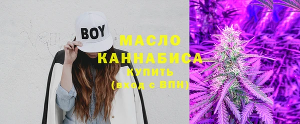 крисы Вязьма