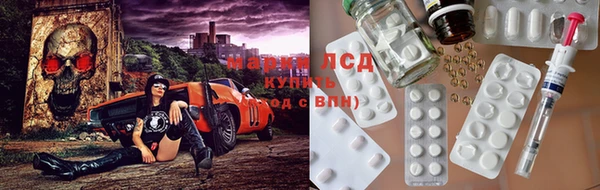 крисы Вязьма