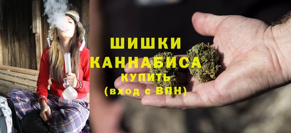 крисы Вязьма