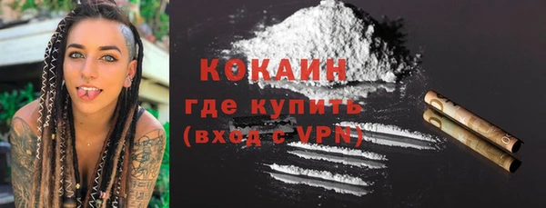 крисы Вязьма
